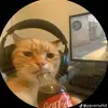0nlyk3vz - @kevinwilbert41 - TikTok