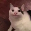 kevin.willmer - @kevin.willmer - TikTok