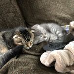 Kevin And Winnie - @winnie.and.kevin_ - Instagram