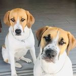 Kevin and Winnie - @kevinandwinnieforever - Instagram