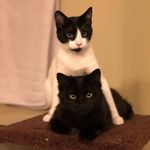 @kevin_winnie_24 - Instagram