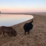 @winnie.and.kevin - Instagram