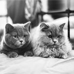 😻Winnie And Kevin😻 - @winnie_and_kevin - Instagram