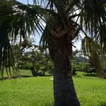 441  KGW - @kevinwoolridge8 - Instagram