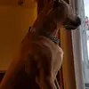 kevinwoolridge453 - @kevinwoolridge453 - TikTok