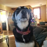 Kevin W Ortman - @wortmankevin - Instagram