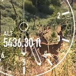 Kevin Wright - @k.wright_hunts - Instagram