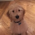 Kevin Cooper - @kevin.cooper.wrigley - Instagram