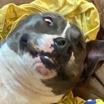 Kevin Wunderlich - @wunderlich7291 - Instagram