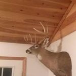 Kevin Yoder - @yoder2574 - Instagram