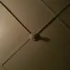 Kevin Yoder - @kevin.yoder - TikTok