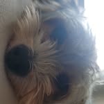 Kevin Yohe - @yohe_kevin - Instagram