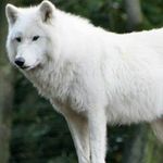 Kevin Zermeño - @kevin.zermeno.9 - Instagram