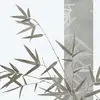 Kevin Zermeño - @kevin.zermeo4 - TikTok