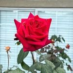 Kewal Krishan - @offical_anjali1238 - Instagram