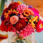 Kewal Krishan - @kewalkraj - Instagram