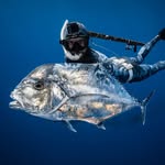 Aaron Young - @keywestwaterman - Instagram