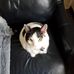 Keeya Thompson - Facebook