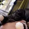 ✨cooper is my bunny✨ - @keyanna_cooper_123 - TikTok