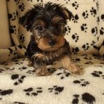 Keyon thomas - @keyz_2_success - Instagram