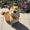 keziahkim315 - @keziahkim315 - TikTok
