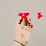 Khadija Bibi - @khadijabibi3231 - Instagram