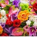 Khadija Bibi - Facebook