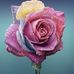 Khadija Eid - Facebook