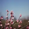 khadijaeid - @khokha0i0 - TikTok