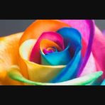 Khadijah Boyd - Facebook