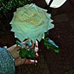 Khadija Kad - Facebook
