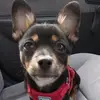 khadijahsutton609 - @khadijahsutton609 - TikTok