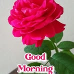 Khaja Syed - Facebook