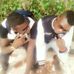 Khal brown - Facebook