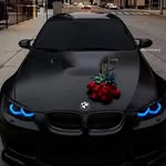 Khaled Abdel Naby - @khaled.abdelnaby.7731 - Instagram