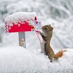 Khaled Abdelnaby - @abdelnaby_khaled - Instagram