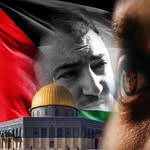 Khaled Barakat I خالد بركات - @khaledbarakat - Instagram