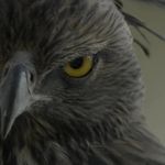 Khaled Bitar - @khaled_bitar_652 - Instagram