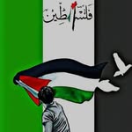 Khaled Ghaleb - @khaled94ghaleb - Instagram