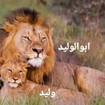 Khaled Salameh - @sarled_renivation_construction - Instagram