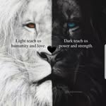 Khaled Salameh - @khaledsalameh269 - Instagram