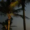 خالد - @khaledsalameh02 - TikTok