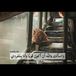 Khaled Sammour Awwad - @khaled.awwad.589 - Instagram