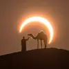القران الكريم - @khaled_alali_ - TikTok