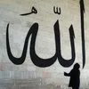 Mir Khaleel Ali Khan - @khaleelali0 - TikTok