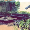 شاهين احمد - @khalfanmubarak - TikTok