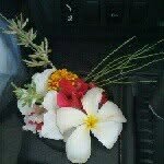@khalfanmubarakuae - Instagram