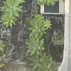 Khalia Jackson - @khalia.jackson - TikTok