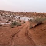 Khalid_abdallah_ - @khalid_abdallah_ - Instagram