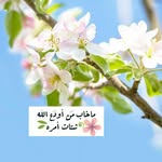 khalid alkhatib - @k_n_h_a_e_n - Instagram